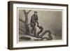 The Python Swallowing the Boa at the Zoological Gardens-null-Framed Giclee Print