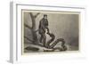 The Python Swallowing the Boa at the Zoological Gardens-null-Framed Giclee Print