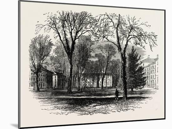 The Quadrangle, Harvard College, Cambridge, Massachusetts, USA, 1870S-null-Mounted Giclee Print