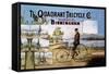The Quadrant Tricycle Company-null-Framed Stretched Canvas