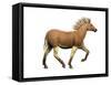 The Quagga Is an Extinct Subspecies of the Plains Zebra-null-Framed Stretched Canvas