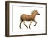 The Quagga Is an Extinct Subspecies of the Plains Zebra-null-Framed Art Print