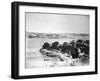 The Quay, Sydney, New South Wales, Australia, 1870-1880-null-Framed Giclee Print