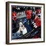 The Queen and Prince of Wales Drive Through Caernarvon After Investiture July 1969-null-Framed Premium Photographic Print