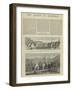 The Queen at Balmoral-null-Framed Giclee Print