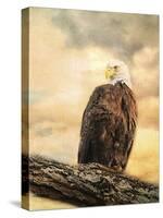 The Queen at Rest Bald Eagle-Jai Johnson-Stretched Canvas