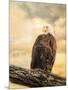 The Queen at Rest Bald Eagle-Jai Johnson-Mounted Premium Giclee Print