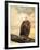 The Queen at Rest Bald Eagle-Jai Johnson-Framed Giclee Print