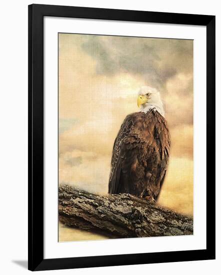 The Queen at Rest Bald Eagle-Jai Johnson-Framed Giclee Print