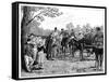 The Queen at the Fete in the Forest of St Germain, France, Mid-Late 19th Century-William Barnes Wollen-Framed Stretched Canvas