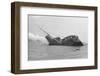 The Queen Elizabeth Rotts in Harbor-null-Framed Photographic Print