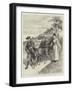 The Queen in Her Pony-Carriage, a Sketch at Osborne-Godefroy Durand-Framed Giclee Print