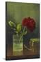 The Queen of Roses-Martin Johnson Heade-Stretched Canvas