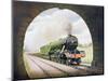 The 'Queen of Scots' of the North Eastern Railway, Illustration from 'The Wonder Book of…-English School-Mounted Premium Giclee Print