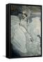 The Queen of the Swans-Mikhail Aleksandrovich Vrubel-Framed Stretched Canvas