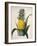 The Queen Pineapple-Porter Design-Framed Premium Giclee Print