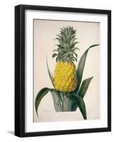 The Queen Pineapple-Porter Design-Framed Premium Giclee Print
