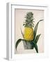 The Queen Pineapple-Porter Design-Framed Premium Giclee Print