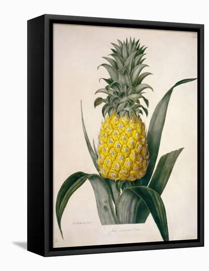 The Queen Pineapple-Porter Design-Framed Stretched Canvas