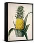 The Queen Pineapple-Porter Design-Framed Stretched Canvas