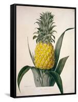 The Queen Pineapple-Porter Design-Framed Stretched Canvas