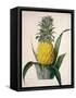 The Queen Pineapple-Porter Design-Framed Stretched Canvas