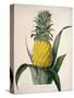 The Queen Pineapple-Porter Design-Stretched Canvas