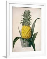 The Queen Pineapple-Porter Design-Framed Giclee Print