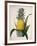 The Queen Pineapple-Porter Design-Framed Giclee Print