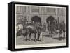 The Queen Receiving at Windsor Castle the Five Arab Horses Presented to Her Majesty by the Sultan o-John Charlton-Framed Stretched Canvas