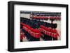 The Queen's Annual Birthday Parade Trooping the Colour, Horse Guards Parade at Whitehall, London-null-Framed Art Print