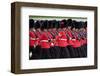 The Queen's Annual Birthday Parade Trooping the Colour, Horse Guards Parade at Whitehall, London-null-Framed Art Print