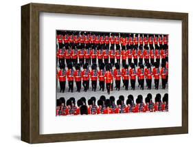The Queen's Annual Birthday Parade Trooping the Colour, Horse Guards Parade at Whitehall, London-null-Framed Art Print