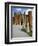 The Queen's Beasts on the Bridge Leading to Hampton Court Palace, Hampton Court, London, England-Walter Rawlings-Framed Photographic Print