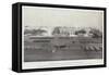 The Queen's Birthday at Cairo, British Troops Saluting the Flag-null-Framed Stretched Canvas