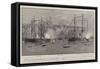 The Queen's Birthday in Newfoundland-Joseph Nash-Framed Stretched Canvas