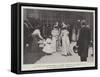 The Queen's Eightieth Birthday at Rome-null-Framed Stretched Canvas
