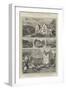 The Queen's Highland Home, Balmoral-null-Framed Giclee Print