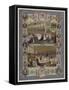 The Queen's Jubilee-null-Framed Stretched Canvas