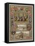 The Queen's Jubilee-null-Framed Stretched Canvas