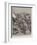 The Queen's Present to Her Soldiers, Arrival of the Chocolate at Modder River Camp-William Small-Framed Giclee Print