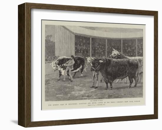 The Queen's Sale of Shorthorn, Hereford and Devon Cattle at the Prince Consort's Shaw Farm, Windsor-John Charles Dollman-Framed Giclee Print