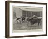 The Queen's Sale of Shorthorn, Hereford and Devon Cattle at the Prince Consort's Shaw Farm, Windsor-John Charles Dollman-Framed Giclee Print