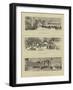 The Queen's Visit to Epping Forest-null-Framed Giclee Print