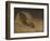 The Questioner of the Sphinx (Oil on Canvas)-Elihu Vedder-Framed Giclee Print