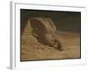 The Questioner of the Sphinx (Oil on Canvas)-Elihu Vedder-Framed Giclee Print