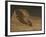 The Questioner of the Sphinx (Oil on Canvas)-Elihu Vedder-Framed Giclee Print