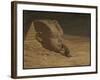 The Questioner of the Sphinx (Oil on Canvas)-Elihu Vedder-Framed Giclee Print