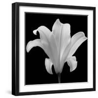 The Quiet Japanese Lilly, 2006-Hiroyuki Arakawa-Framed Photographic Print