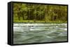 The Quinault River Flows by the Vivid Green Rain Forests of the Olympic National Park in Washington-Ben Herndon-Framed Stretched Canvas